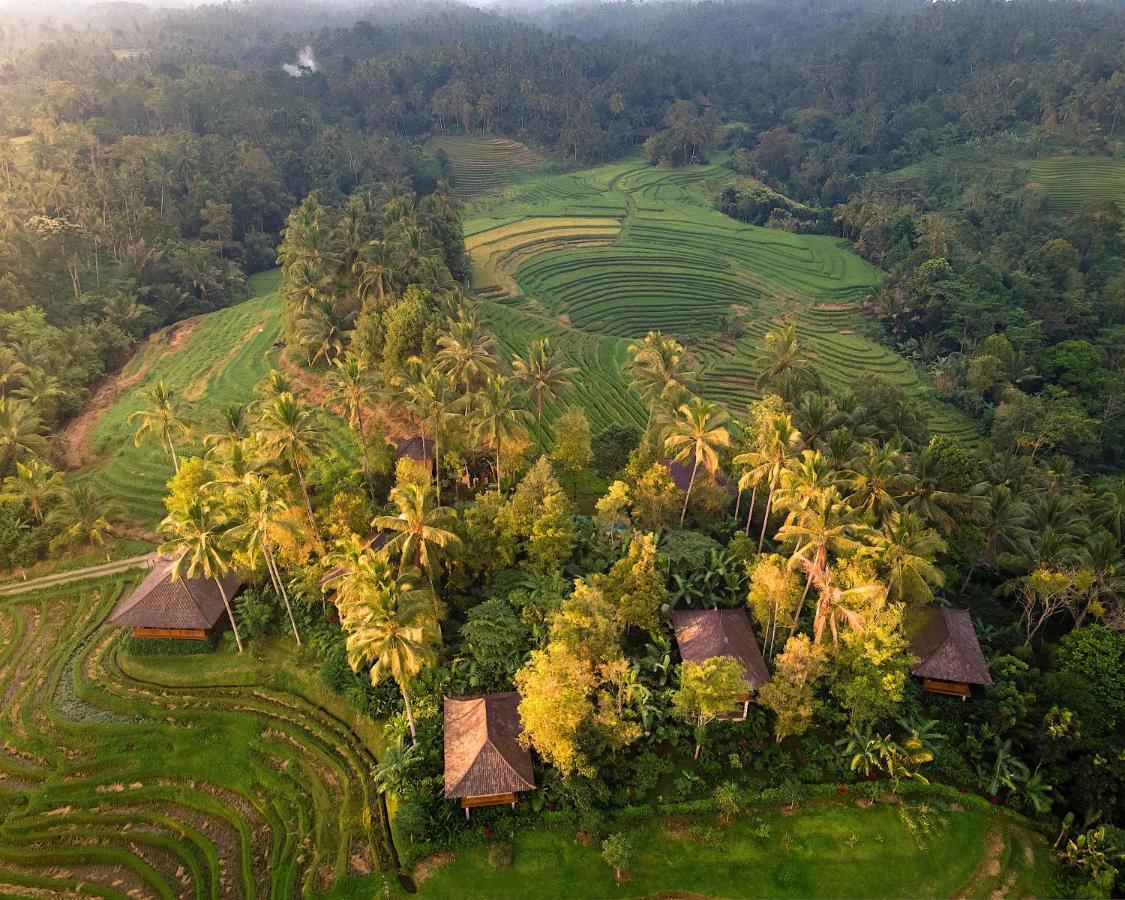 丁香树山度假屋 Blimbing  外观 照片