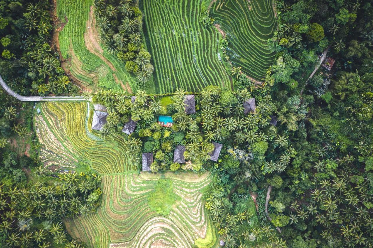 丁香树山度假屋 Blimbing  外观 照片