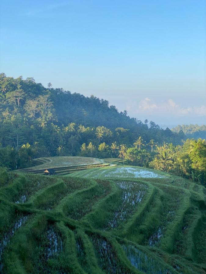 丁香树山度假屋 Blimbing  外观 照片